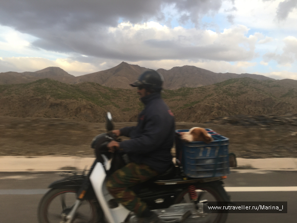 photo 1596208