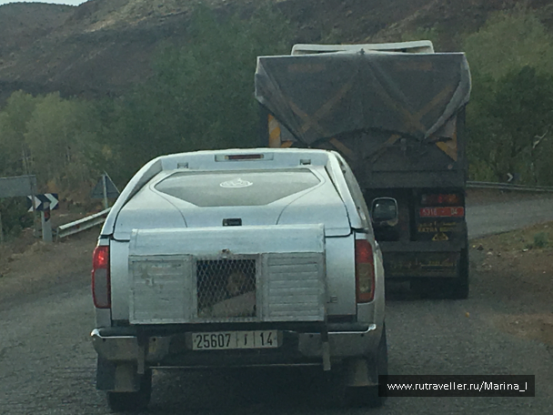 photo 1596209