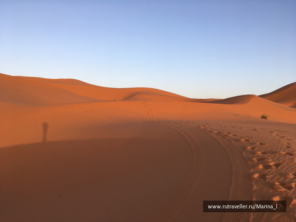 photo 1596217