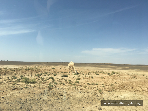 photo 1596223