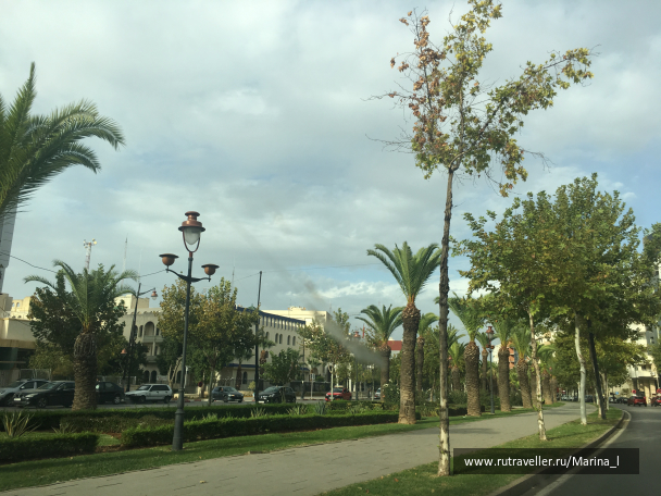 photo 1596233