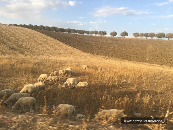 photo 1596236