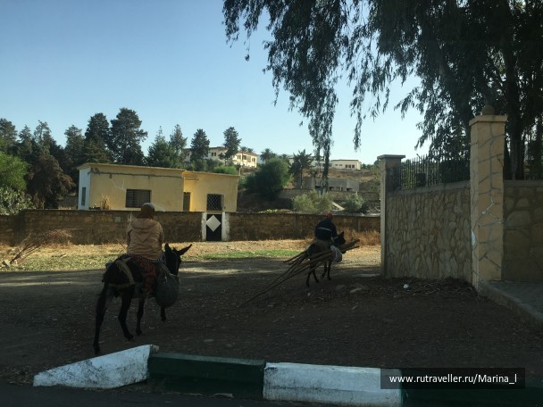 photo 1596240
