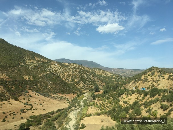 photo 1596244