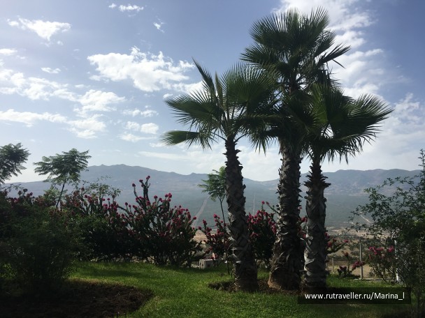 photo 1596246
