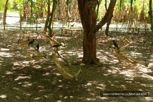 photo 462738