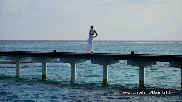 photo 462745