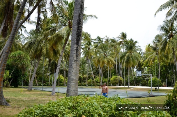 photo 462790