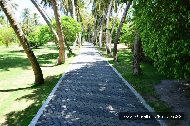 photo 462791