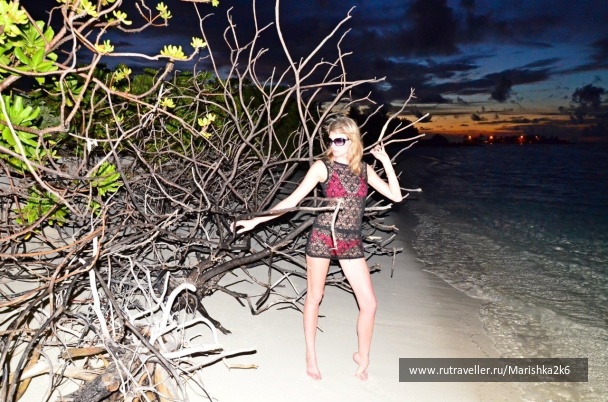 photo 462861