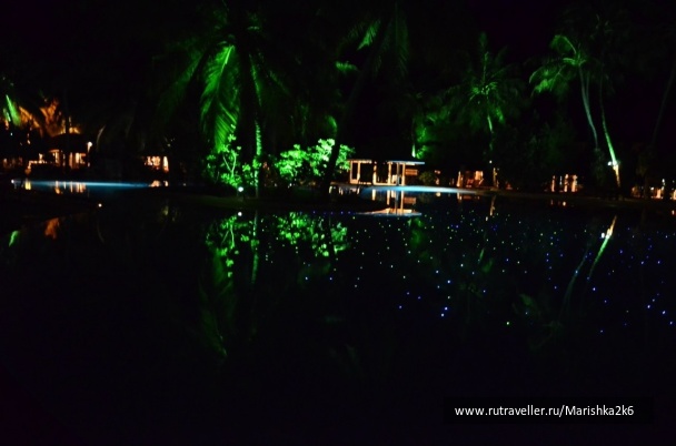 photo 462862