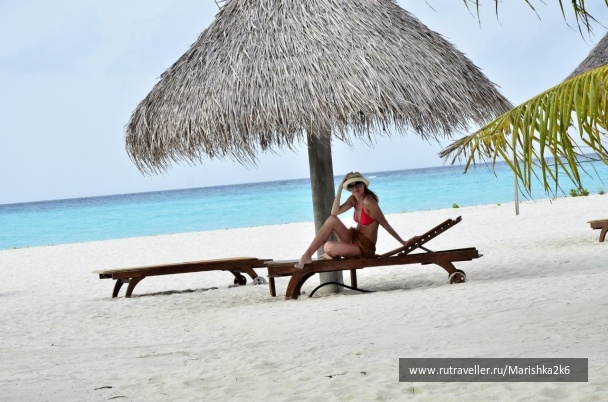 photo 462873