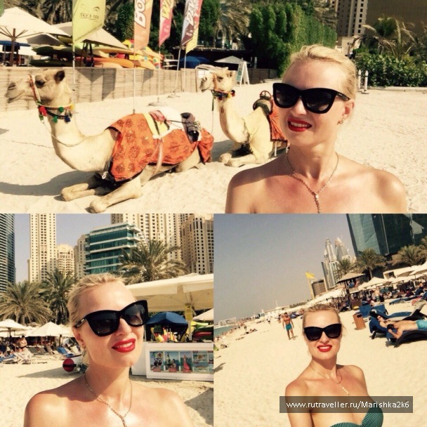 photo 1480098