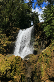 photo 1037059