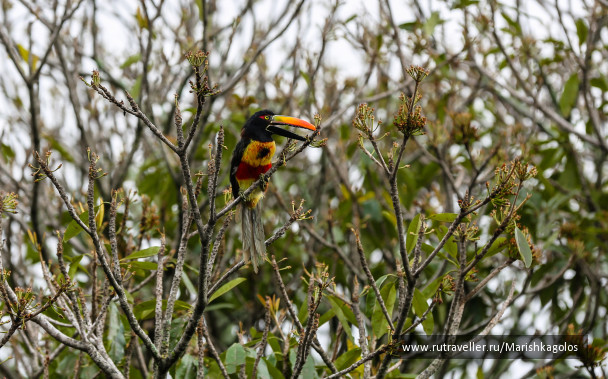 photo 1493571