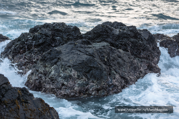 photo 1688884