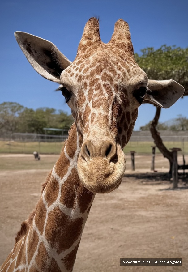 photo 2149149