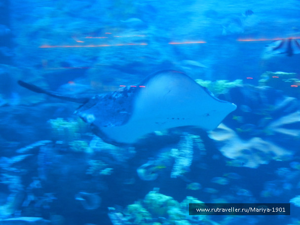 photo 692245