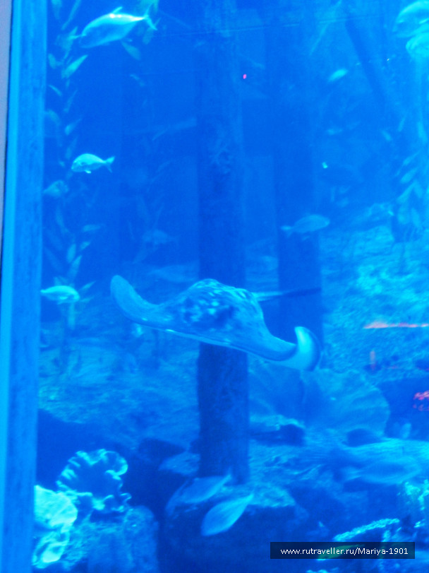 photo 692246
