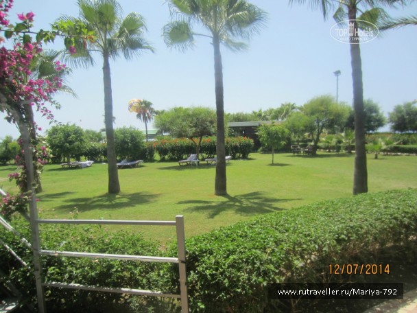 photo 807341