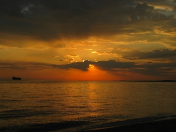 photo 773766