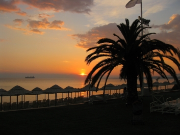 photo 773769
