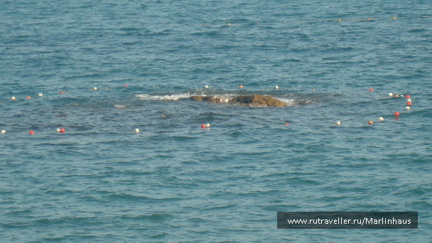 photo 81792