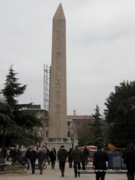 photo 81863