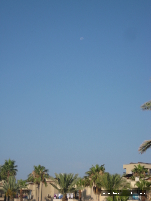 photo 115629