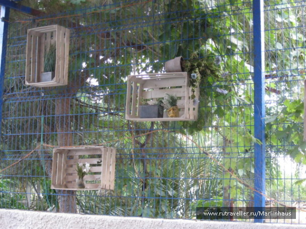photo 117581