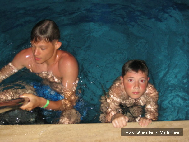 photo 117586