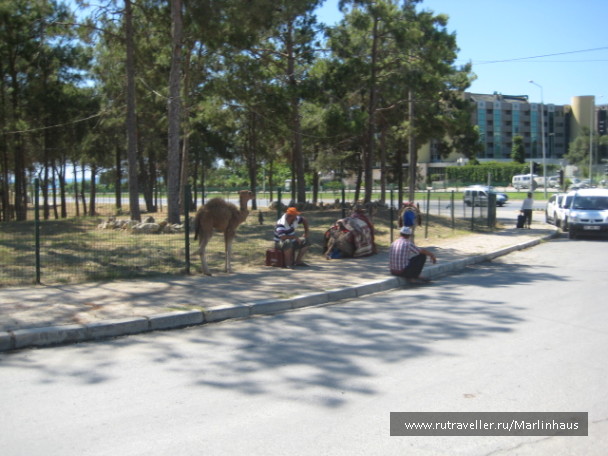 photo 117636
