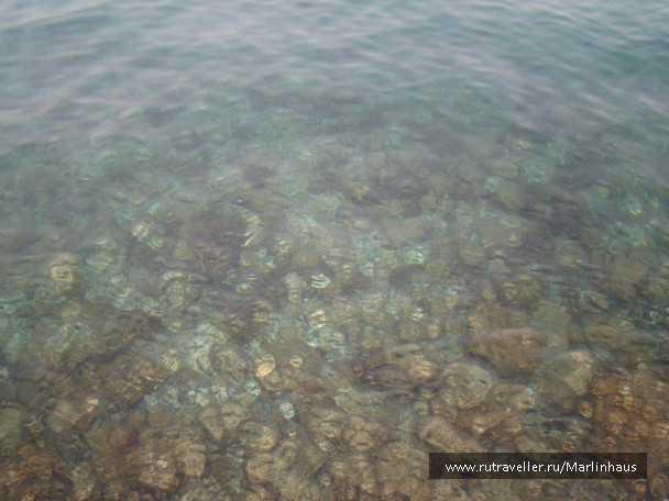 photo 81786