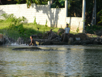 photo 560679