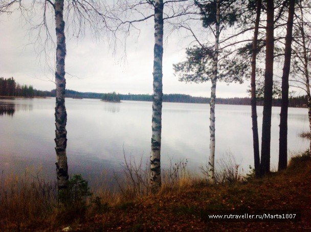 photo 1114394