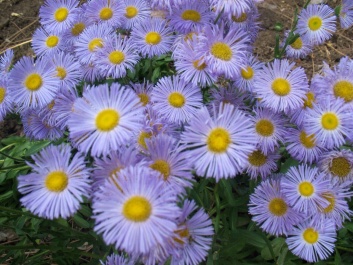photo 1130111