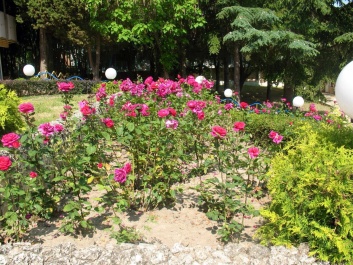 photo 1130131