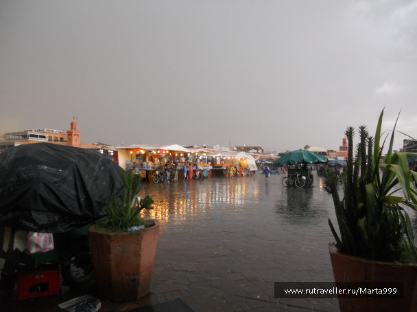 photo 1142782