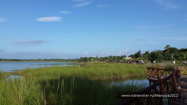 photo 1176666