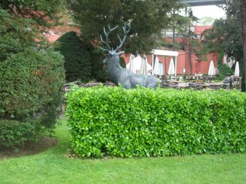 photo 410643