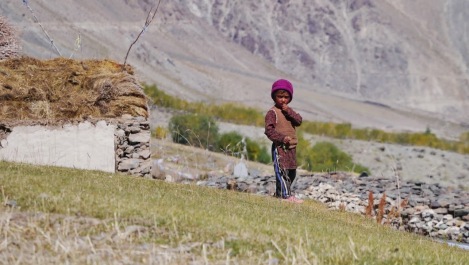 photo 1177084