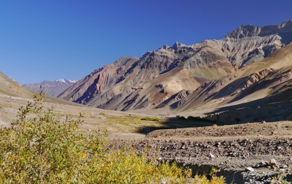 photo 1177085