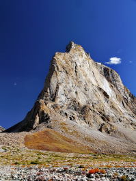 photo 1177087