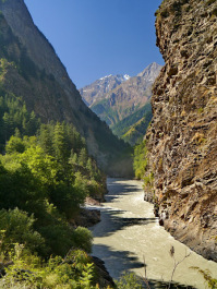 photo 1177098