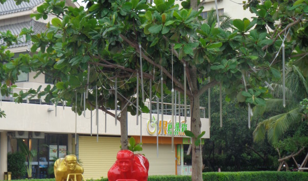 DSC00843