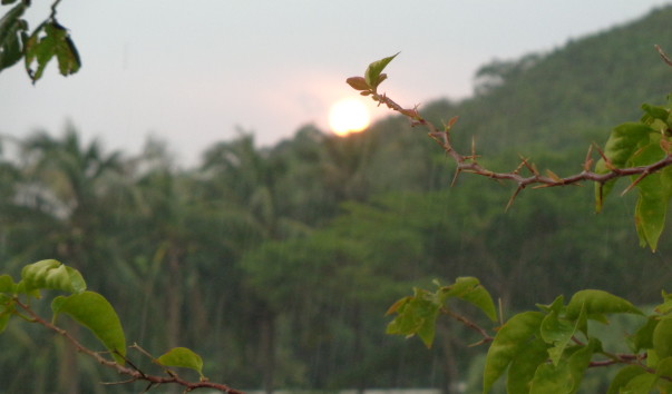DSC00541