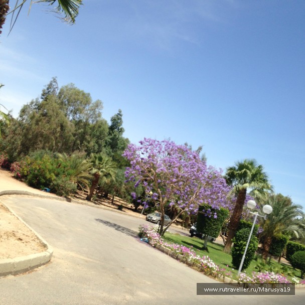 photo 753930