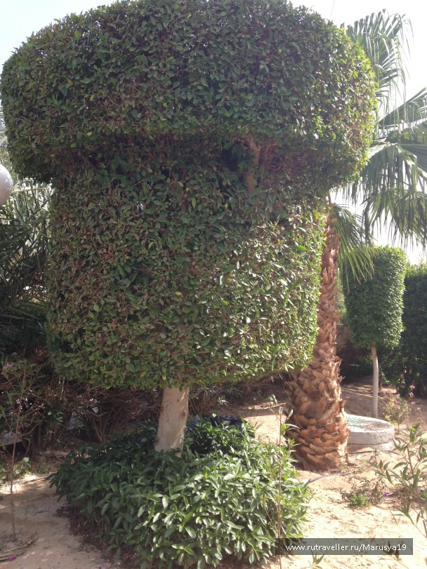 photo 753933