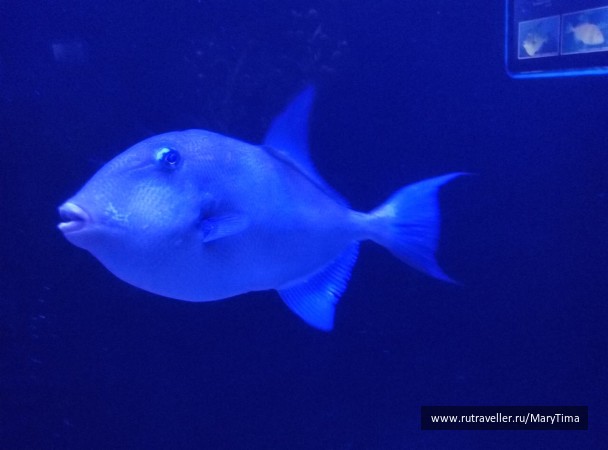 photo 1376866