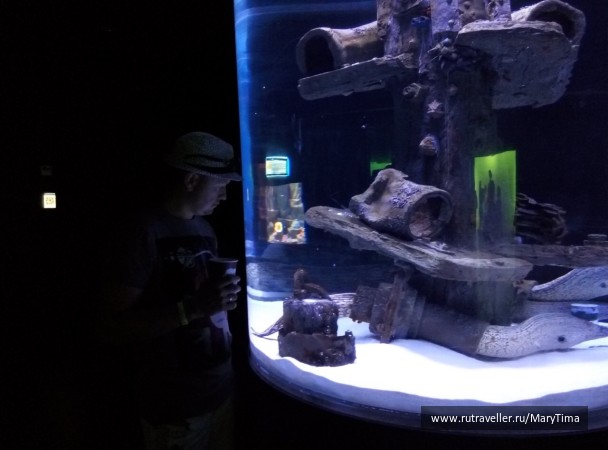 photo 1377017